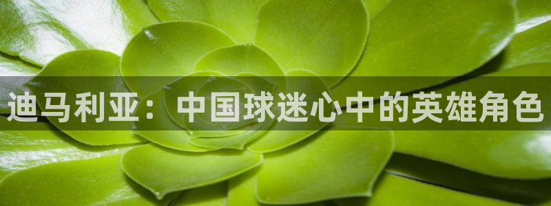 澳门世界杯直播:迪马利亚:中国球迷心中的英雄角色