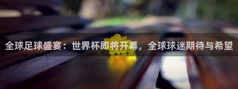2026世界杯预选赛:全球足球盛宴:世界杯即将开幕,全球球迷期待与希望