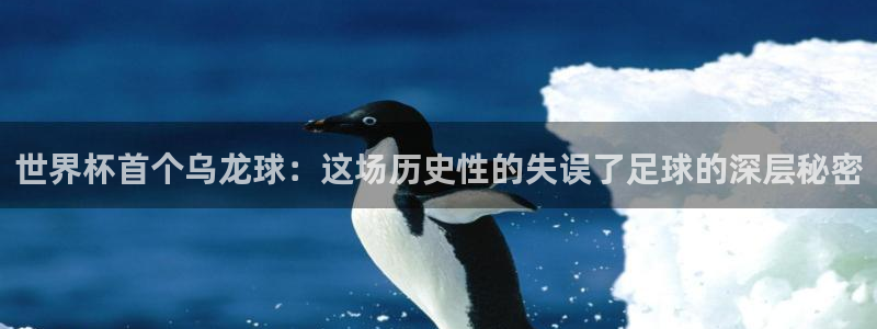 葡萄牙世界杯赛程:世界杯首个乌龙球:这场历史性的失误了足球的深层秘密