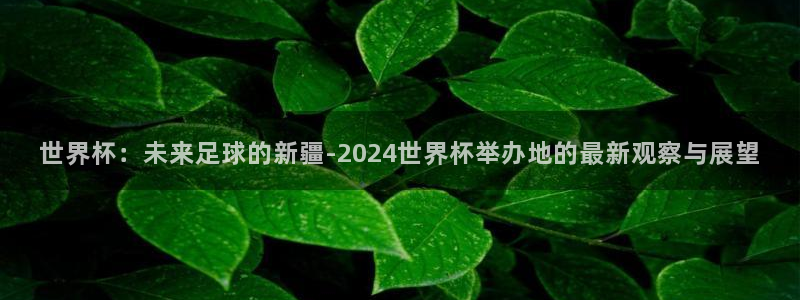 葡萄牙世界杯赛程:世界杯:未来足球的新疆-2024世界杯举办地的最新观察与展望