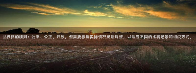 世界杯比赛:世界杯的规则:公平、公正、开放,但需要根据实际情况灵活调整,以适应不同的比赛场景和组织方式。