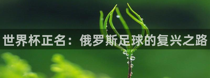 足球世界杯：世界杯正名：俄罗斯足球的复兴之路