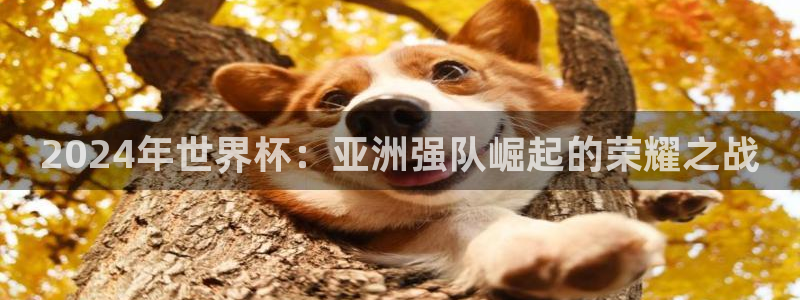 足球世界杯2026年赛程时间表：2024年世界杯：亚洲强队崛起的荣耀之战