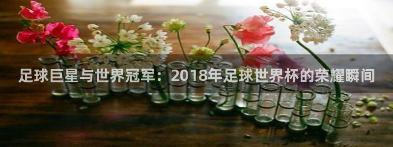 世界杯亚洲区预选赛积分榜:足球巨星与世界冠军:2018年足球世界杯的荣耀瞬间