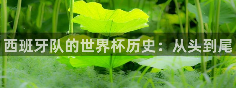 2026世界杯直播免费观看：西班牙队的世界杯历史：从头到尾
