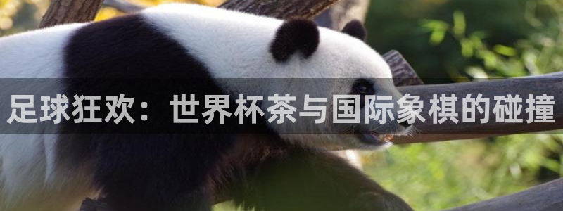 2026世界杯赛程时间表最新：足球狂欢：世界杯茶与国际象棋的碰撞