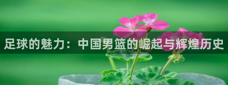 世界杯直播免费观看：足球的魅力：中国男篮的崛起与辉煌历史