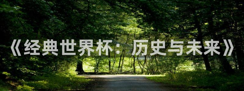 世界杯足球赛2026：《经典世界杯：历史与未来》
