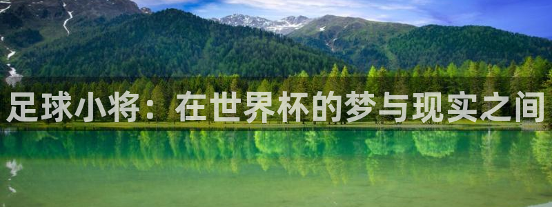 世界杯 2026：足球小将：在世界杯的梦与现实之间