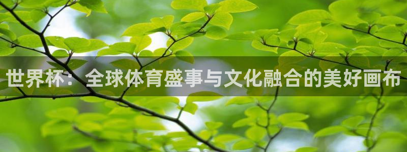 今年的世界杯：世界杯：全球体育盛事与文化融合的美好画布