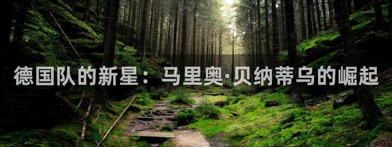 世界杯 直播：德国队的新星：马里奥·贝纳蒂乌的崛起