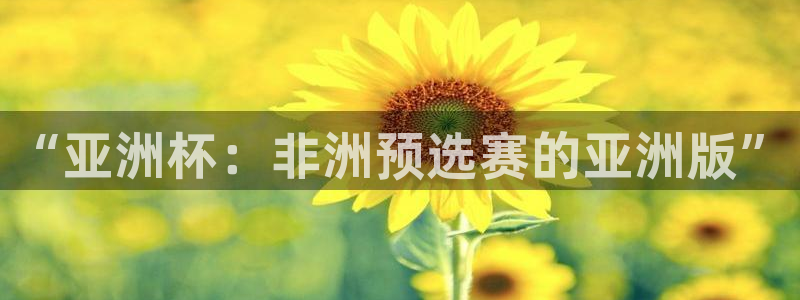 2026世界杯买球：“亚洲杯：非洲预选赛的亚洲版”