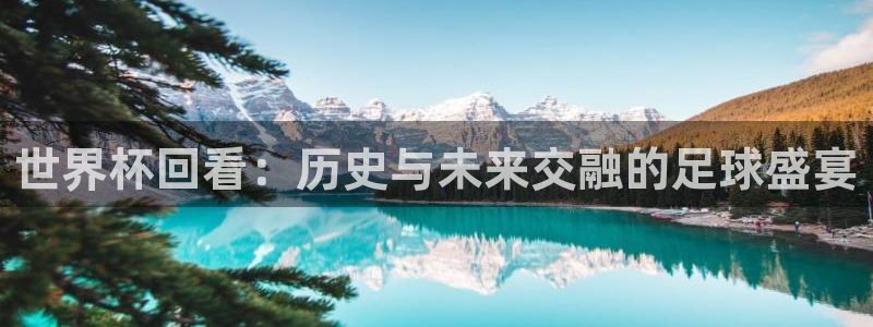 2026男足世界杯赛程：世界杯回看：历史与未来交融的足球盛宴